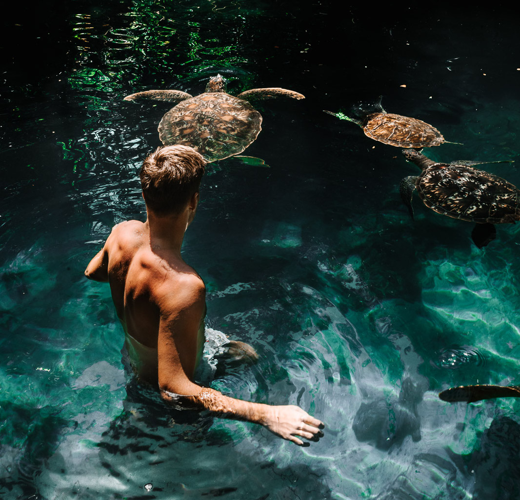 Zanzibar Experience Package (Guiding Services on Request • Flexible Program)